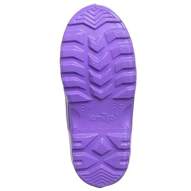 Сапоги резиновые Lemigo [02-010-10]