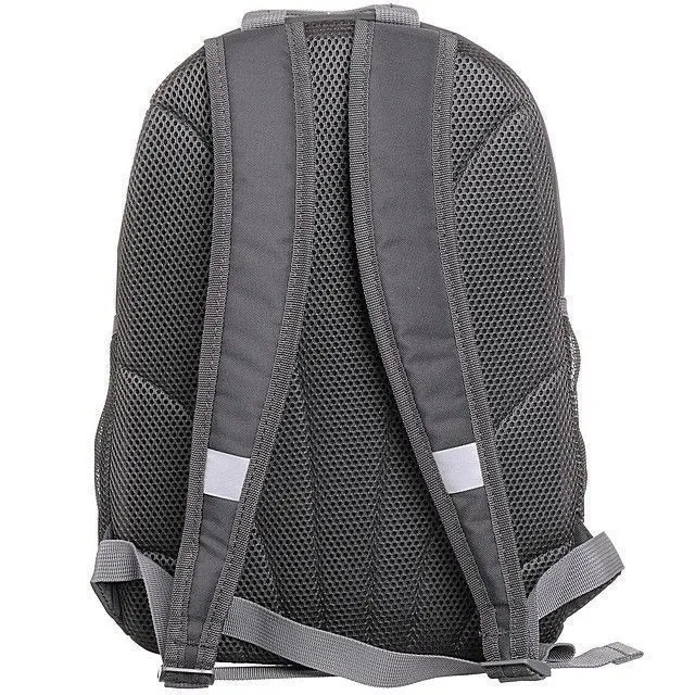 Рюкзак GRIZZLY [62-054-20]