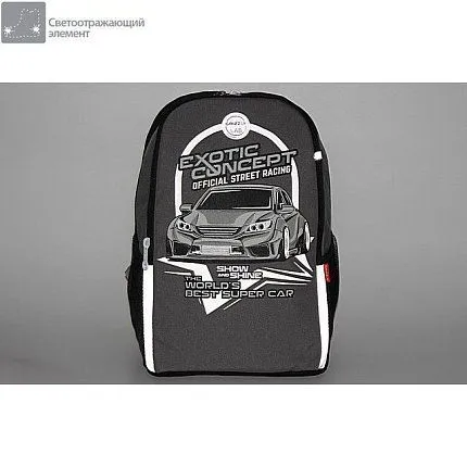 Рюкзак GRIZZLY [62-050-20]