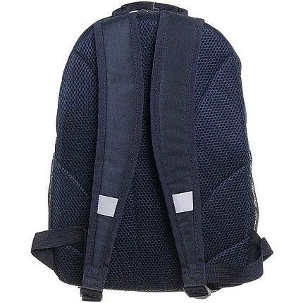 Рюкзак GRIZZLY [61-286-20]