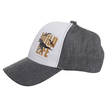 Бейсболка ПОЛЯЯРИК  [62-670-10]