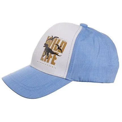 Бейсболка ПОЛЯЯРИК  [62-671-10]